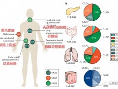 KRAS基因突变靶向药,已上市的KRAS抑制剂和KRAS临床试验有哪些