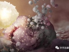 TILs细胞治疗,TILs免疫治疗联合PD-1治疗多种难治性实体瘤出现完全缓解