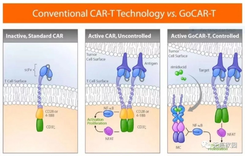 GoCAR-T技术