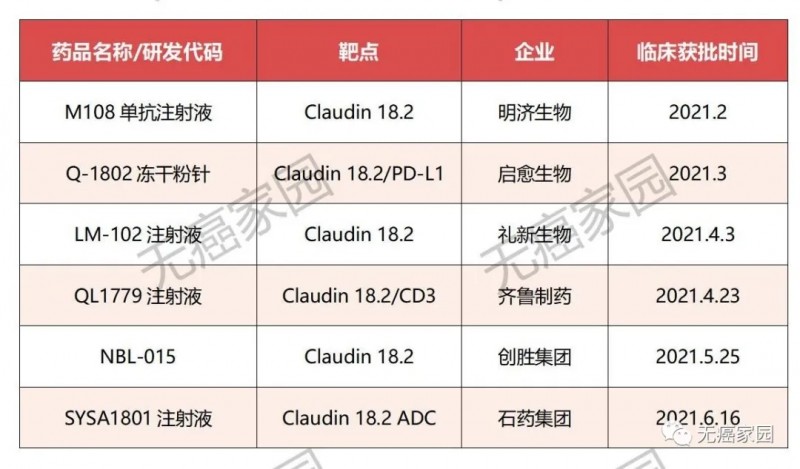 2021年上半年获批临床的Claudin18.2产品