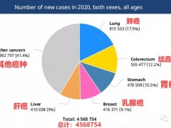 6款国产靶向Claudin18.2(CLDN18.2)靶点的药物获批临床引发热潮,更多的Claudin18.2临床试验招募正在进行中