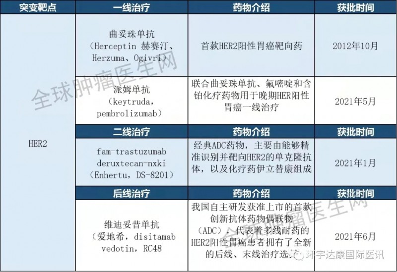 获批的胃癌HER2阳性靶向药物