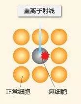 重离子射线