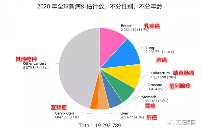 2020年全球癌症新病例估计数