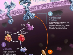 Encorafenib+Cetux/Pan