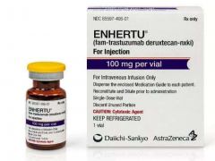 【Enhertu】fam-trastuzumab deruxtecan-nxki（DS-8201）
