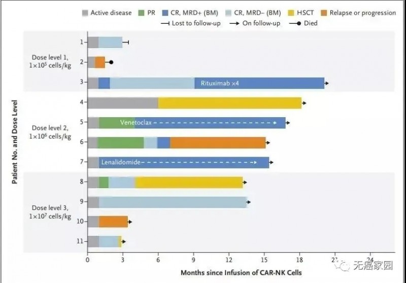 CAR-NK疗法治疗血液肿瘤的数据