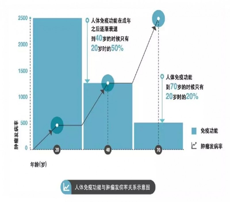 免疫功能和年龄的关系