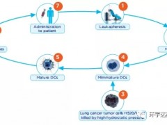 树突细胞疫苗联合化疗一线治疗晚期非小细胞肺癌总缓解率大幅提升