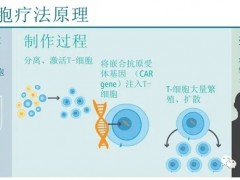 CAR-T治疗后复发怎么办,双受体T细胞疗法带来新希望