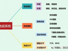 冬春交替免疫力下降,肿瘤患者提高免疫力,肿瘤病人患者如何提高免疫力,肿瘤患者怎么样增强、提高免疫力