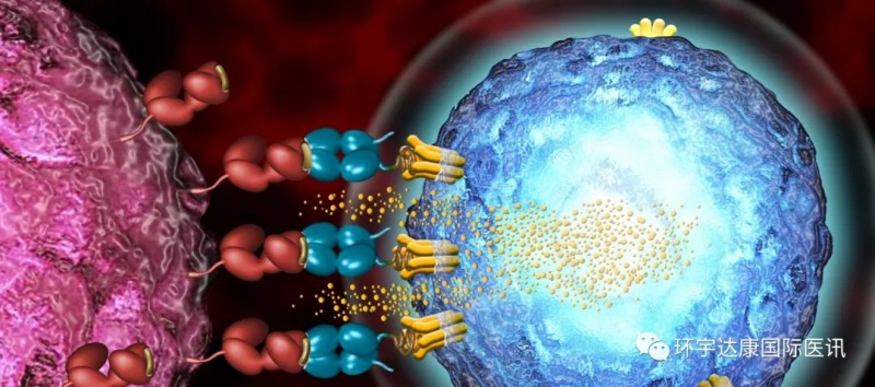 TCR-T疗法治疗肿瘤