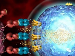 TCR-T细胞治疗,全球首款TCR-T细胞疗法Kimmtrak(Tebentafusp-tebn)获批上市,更多的T细胞免疫疗法临床试验招募正在进行中