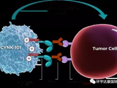 2022年1月18日美国FDA授予NK细胞免疫疗法CYNK-101联合化疗一线治疗胃癌快速通道资格