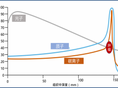 什么是质子重离子治疗