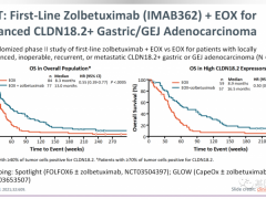 速递|FDA授予同时靶向Claudin 18.2和4-1BB的双特异性抗体药物TJ-CD4B胃癌孤儿药资格