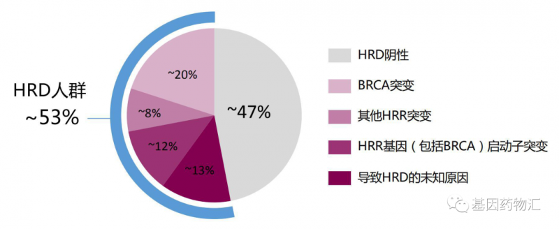 HRD人群概率