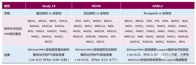 HRD治疗对比