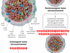溶瘤病毒治疗,热肿瘤和冷肿瘤是什么,溶瘤病毒疗法联合NK细胞疗法和CAR-T细胞疗法将"冷"肿瘤变"热",对多种癌症肿瘤实现"双杀"