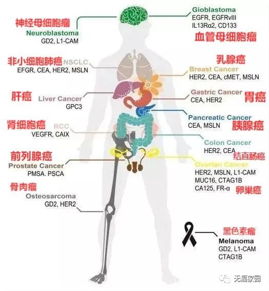 CAR-T之父”Carl June博士