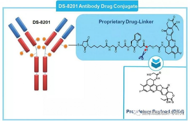 DS8201分子机构