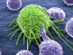 NK细胞疗法,Nature报道:NK细胞是哄癌细胞休眠的高手