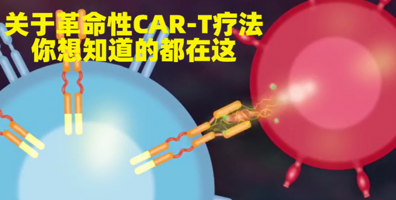 CAR-T疗法