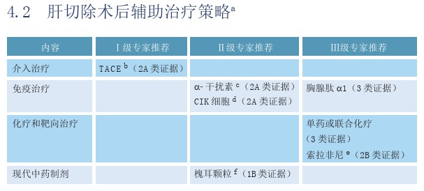 肝癌手术后的辅助治疗策略