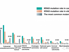 KRAS抑制剂,KRAS靶向药物,KRAS突变药物让困扰超过1/4的癌症肿瘤患者找到了"克星"