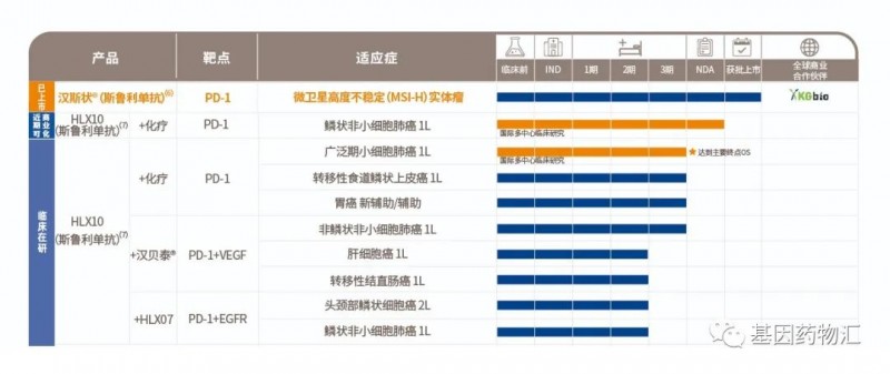 斯鲁利单抗研发历程