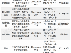 双免疫联合疗法,伊匹木单抗联合纳武单抗(O药+Y药的)双免疫联合治疗超过40类的癌症患者,缓解率达到35.3%