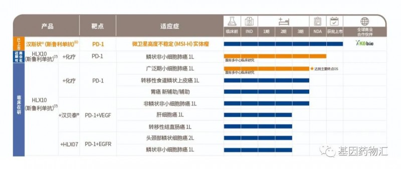 斯鲁利单抗注射液研发历程