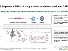 由靶向Claudin-6(CLDN6)的CAR-T疗法和编码Claudin-6(CLDN6)的mRNA疫苗CARVac组成的新一代CART细胞疗法BNT211向实体瘤发起挑战