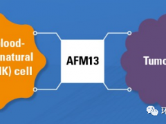 NK细胞疗法,新型NK细胞治疗(cbNK)将为癌症肿瘤患者带来全新的希望