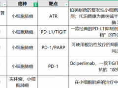 国产PD-1斯鲁利单抗注射液(汉斯状、H药、Serplulimab)有望成为国产首款小细胞肺癌一线免疫治疗药物