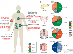 国产KRAS G12C突变靶向药亮相AACR,更多的KRASG12C抑制剂临床试验招募正在进行中