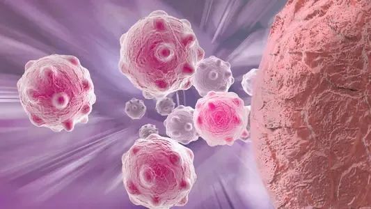 免疫系统小米癌细胞