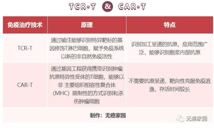 TCR-T疗法和TCR-T疗法对比