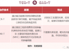 国内多款TCR-T疗法获批临床试验,TCR-T治疗实体瘤异军突起