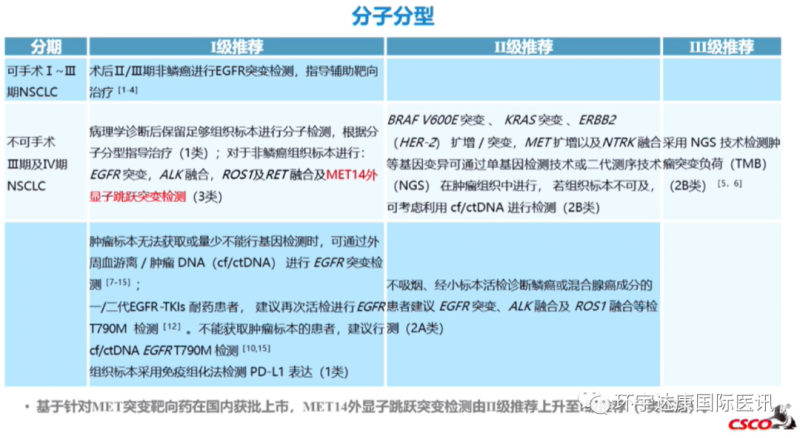 非小细胞肺癌的分子分型