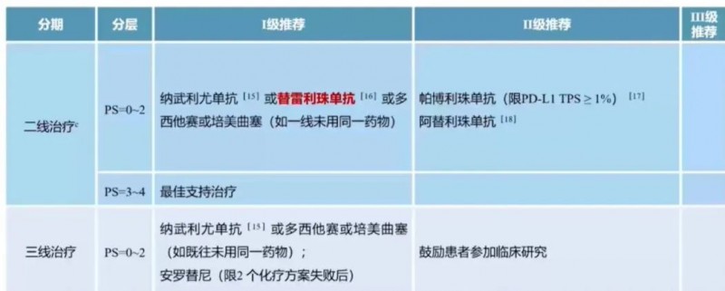 Ⅳ期无驱动基因、非鳞癌非小细胞肺癌二线及后线治疗