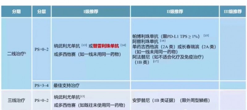 Ⅳ期无驱动基因、鳞癌的二线及后线治疗