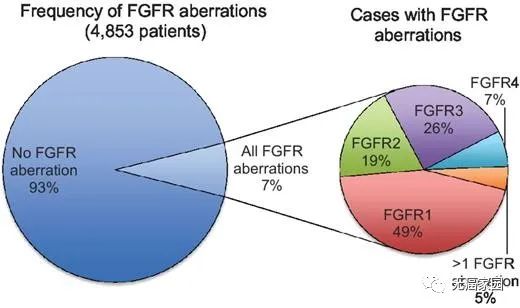 FGFR变异率