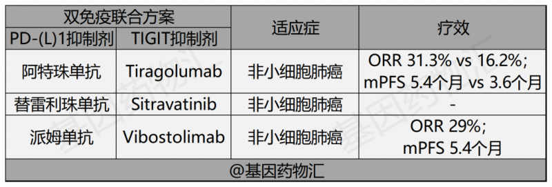 双免疫联合方案