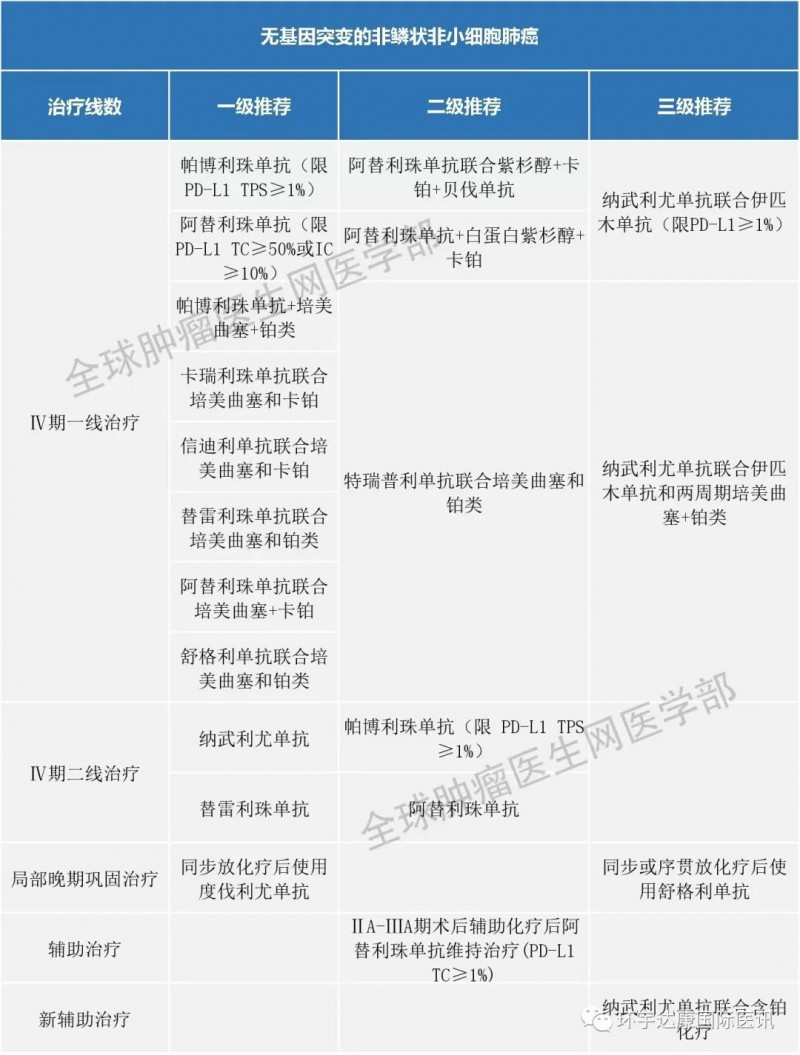 非小细胞肺癌免疫治疗指南
