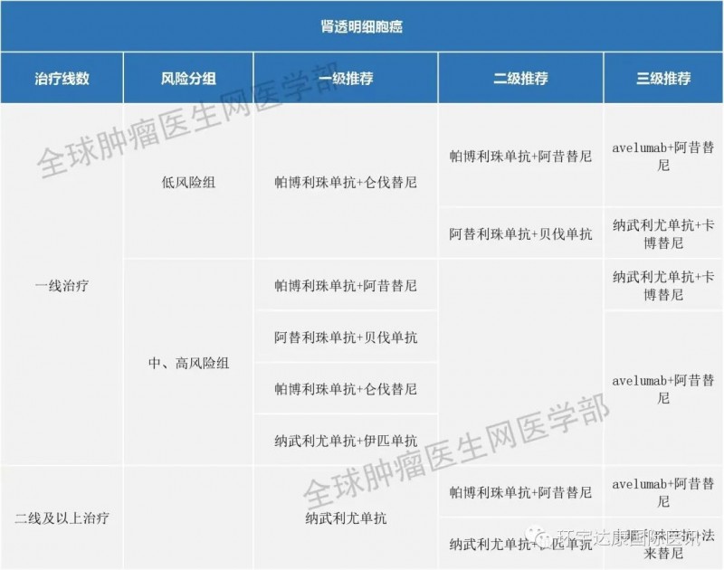 肾癌免疫治疗指南