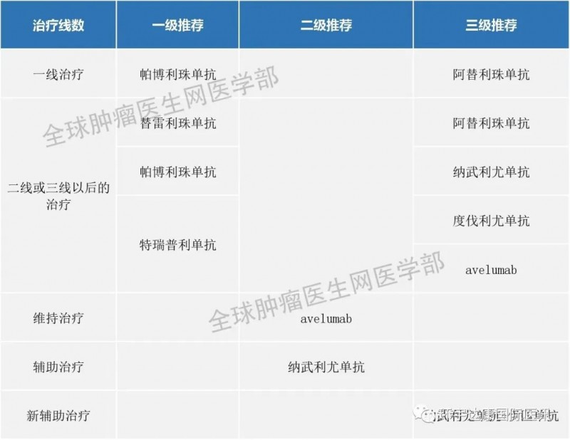 尿路上皮癌免疫治疗指南