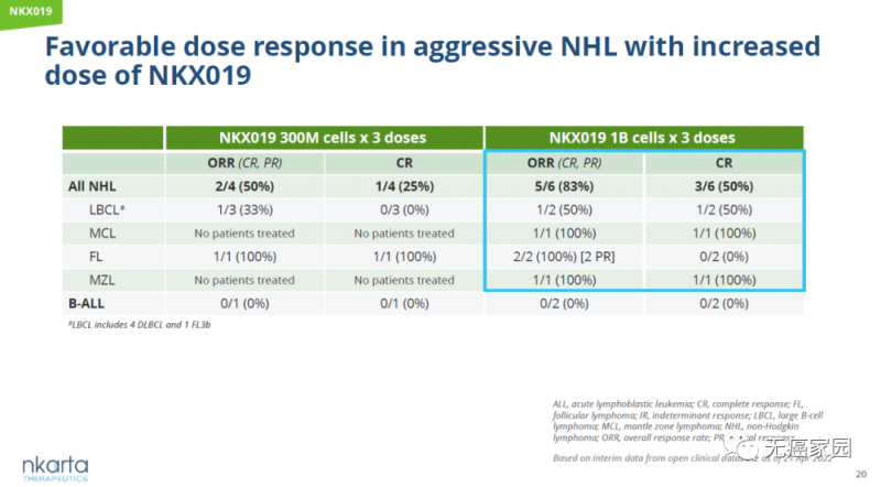 NKX019治疗B细胞淋巴瘤的数据
