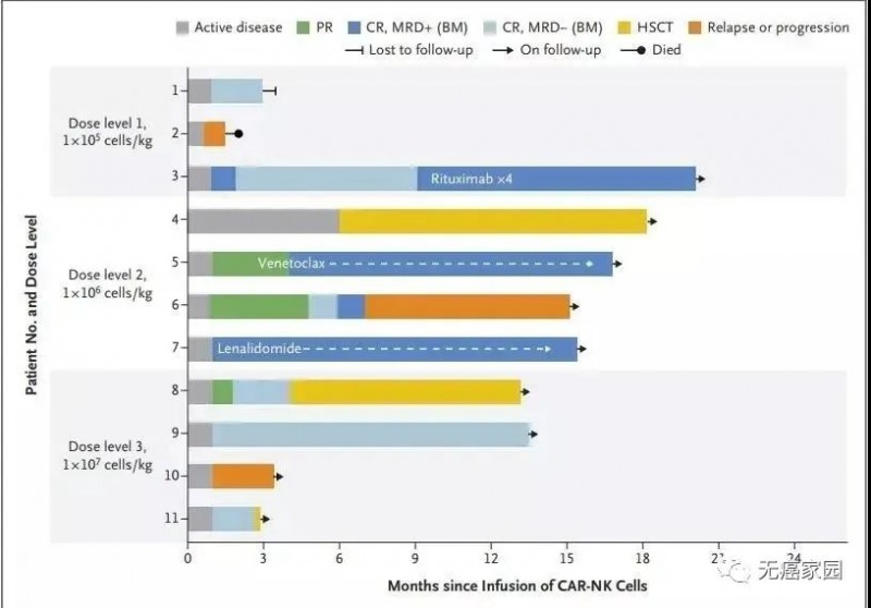 CAR-NK细胞疗法治疗数据