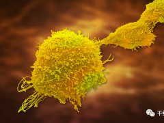 肿瘤绿色治疗-NK细胞治疗,NK细胞的作用和特点是什么